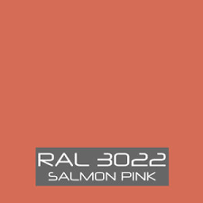 RAL 3022 Salmon Pink tinned Paint